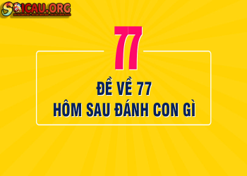 Đề về 77 hôm sau đánh con gì chuẩn xác?