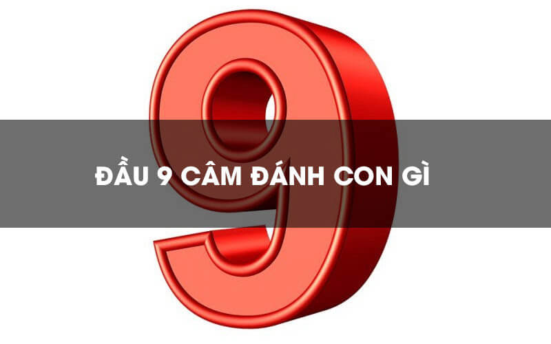 Bật mí đầu 9 câm hôm sau đánh con gì chuẩn xác hiệu quả nhất