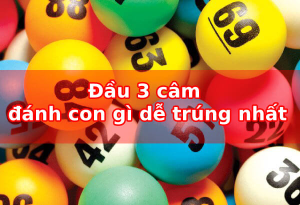 Đầu 3 câm hôm sau đánh con lô gì dễ trúng, hiệu quả nhất? 2