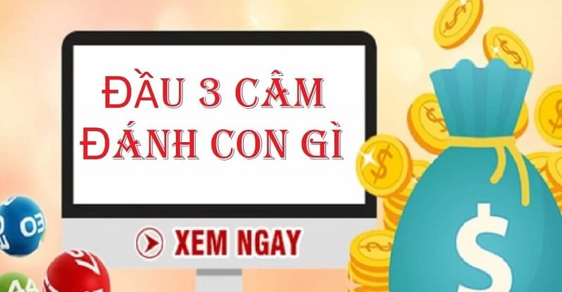 Đầu 3 câm hôm sau đánh con lô gì dễ trúng, hiệu quả nhất? 1