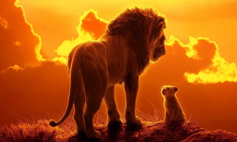 Ngủ mơ thấy sư tử nên đánh con gì?