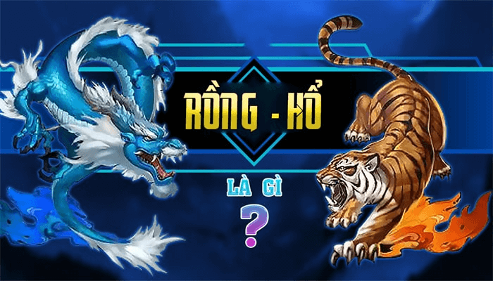 Rồng Hổ Là gì? 