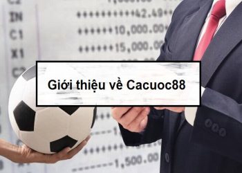 Các nhà cái uy tín nhất tại web cá cược bóng đá – Cacuoc88