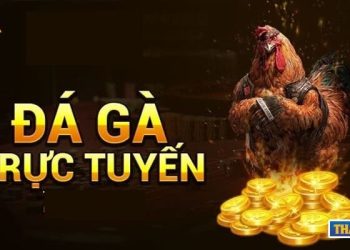 Đá Gà THABET – Đỉnh Cao Cá Cược Trực Tuyến Dành Cho Kê Thủ