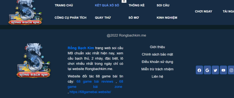 Giới thiệu thông tin chính về website rồng bạch kim