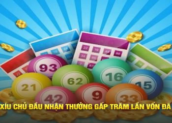 Xỉu chủ miền Bắc Là Gì? Hướng Dẫn Và Kinh Nghiệm Soi Cầu 