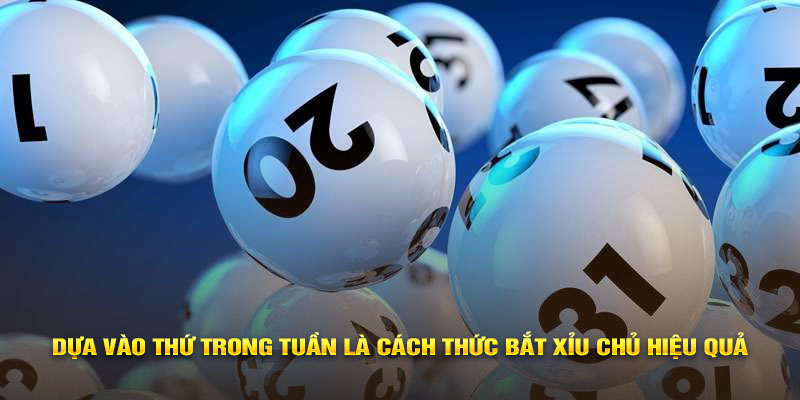 Dựa vào thứ trong tuần là cách thức bắt xỉu chủ hiệu quả 