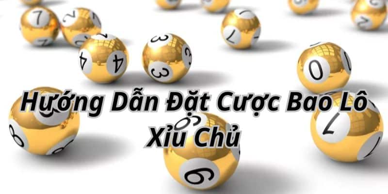 Hướng dẫn đặt cược bao lô tại nhà cái trực tuyến 