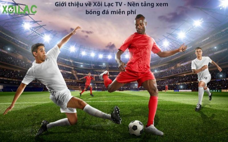 Ưu điểm của Xoilac TV chinh phục khách hàng