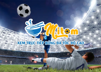 Tra cứu bảng xếp hạng bóng đá trên Mitom TV – mitom1-tv.pro