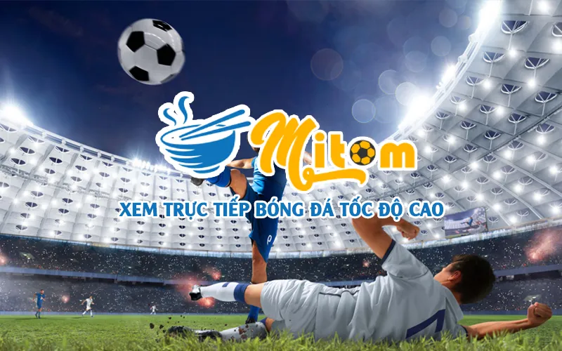 Giới thiệu bảng xếp hạng bóng đá trên Mitom TV