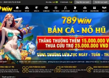 Giới Thiệu 789win – Cổng Giải Trí Đặc Sắc Bạn Không Nên Bỏ Lỡ