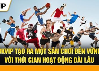 Những Hoạt Động OKVIP Đang Được Triển Khai Năm 2024