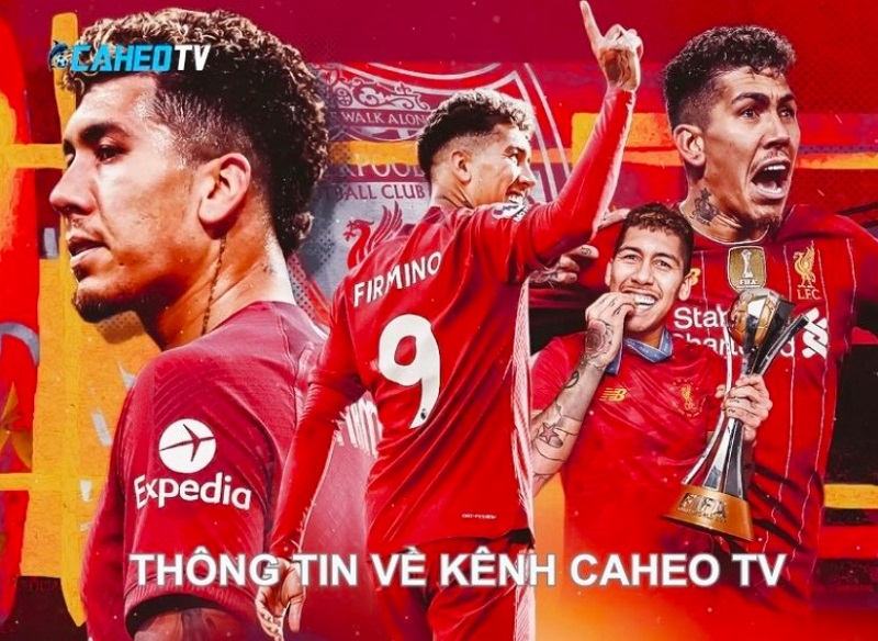 Caheo TV luôn cập nhật và đổi mới để người dùng được hài lòng khi sử dụng