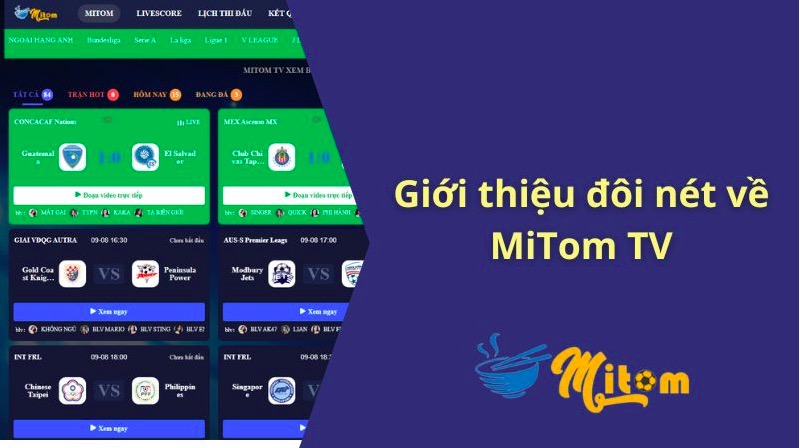 Mitom TV luôn chú trọng đầu tư vào chất lượng phát sóng