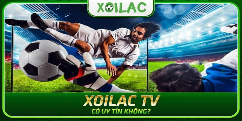 Top các giải đấu được ưa chuộng nhất trên trang xoilac tv