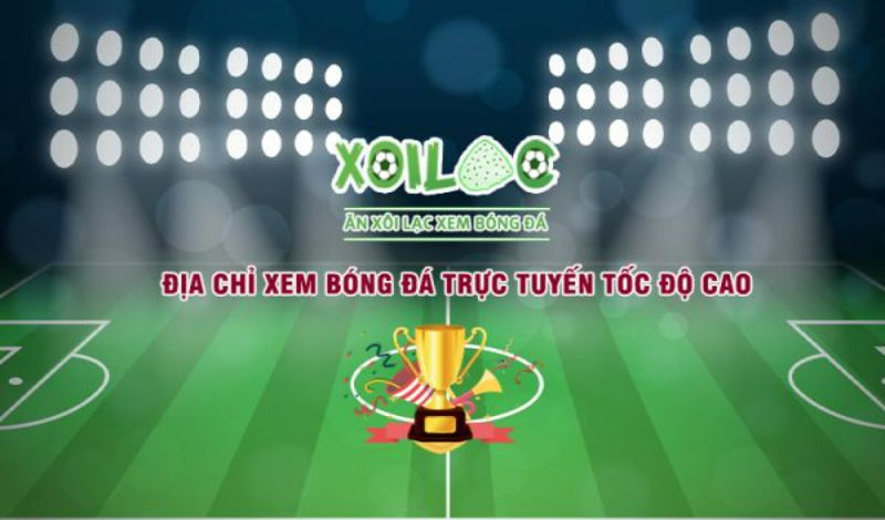 Xoilac TV - Lựa chọn số 1 cho người hâm mộ bóng đá