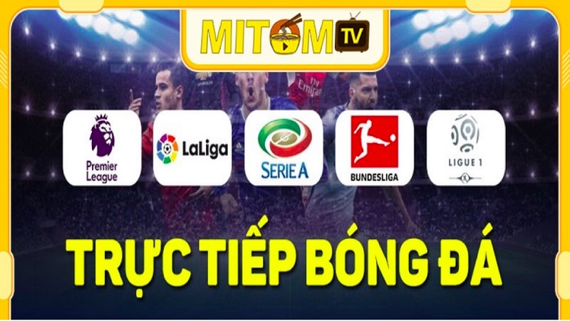 Mitom TV định hướng phát triển thành trang web truc tiep bong da toàn năng