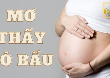 Giải mã giấc mơ thấy có bầu: ngủ mơ có bầu đánh con gì?