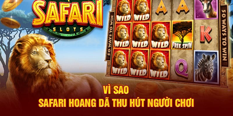 Vì sao Safari Hoang Dã thu hút người chơi 