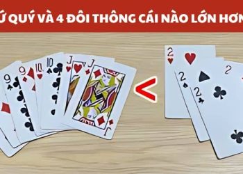 4 đôi thông chặt được gì? Mẹo sử dụng 4 đôi thông hiệu quả