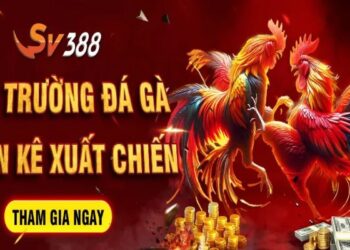 Sv388 – Giới Thiệu Sân Chơi Đá Gà Casino Đẳng Cấp Nhất