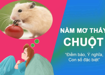 Giải mã giấc mơ – Nằm mơ thấy chuột có thể đem lại điều gì?