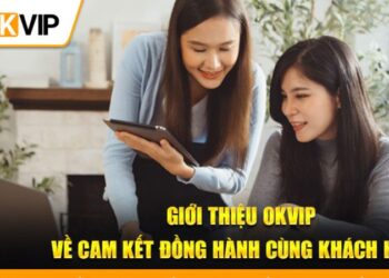 Giới Thiệu OKVIP – Sứ Mệnh Đồng Hành Tin Cậy, Sáng Tạo Đột Phá